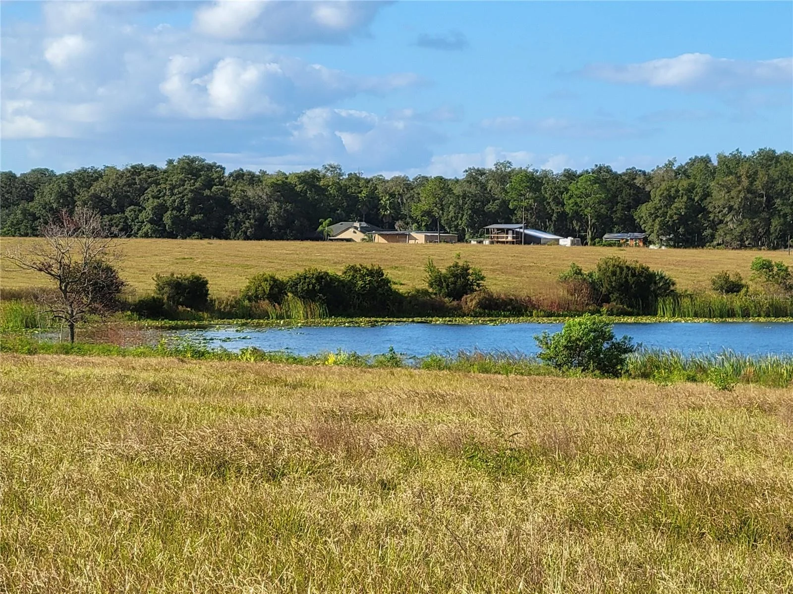 SE 74TH LANE RD #8-WEST, OCKLAWAHA, FL — photo 17
