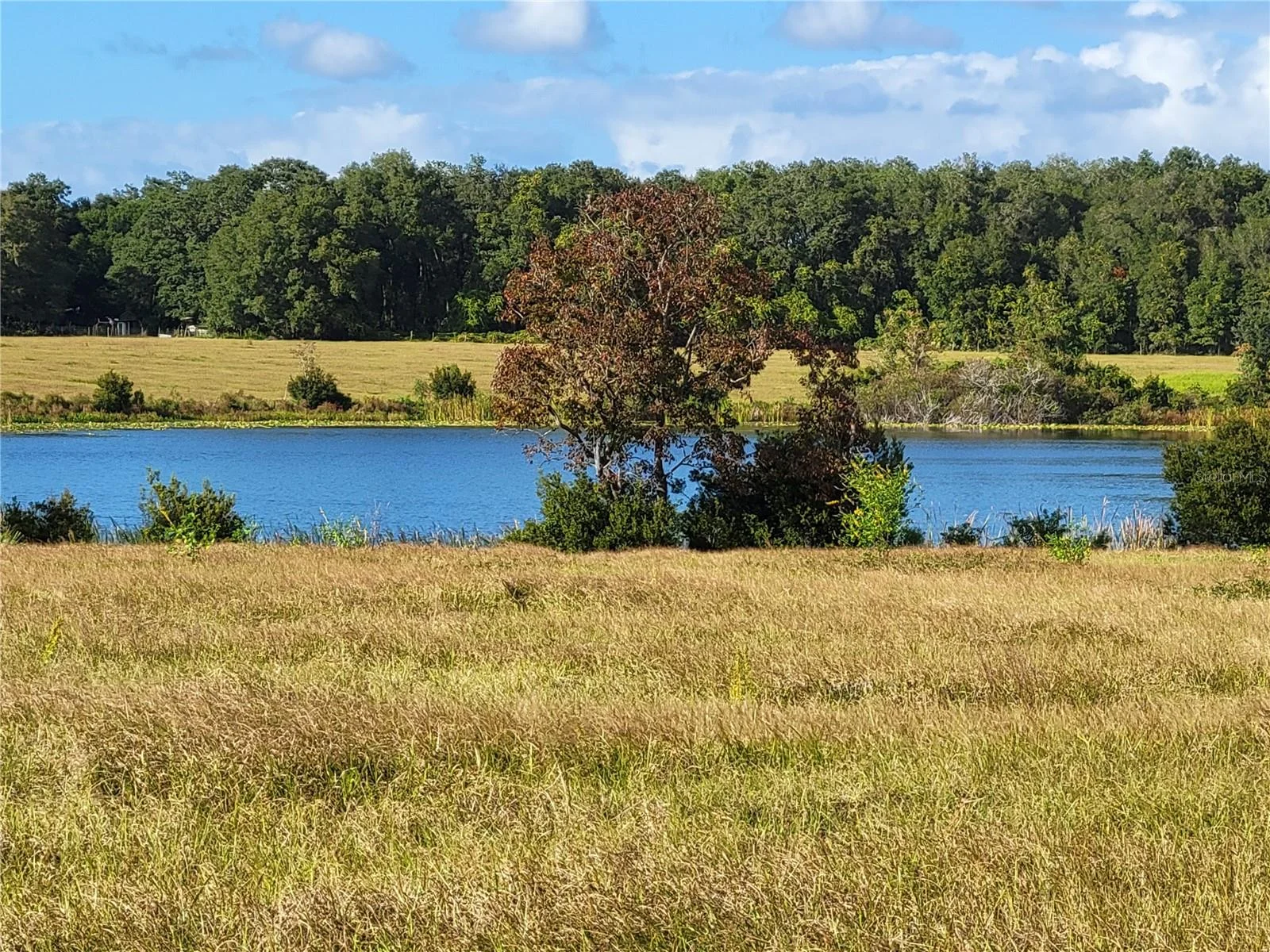 SE 74TH LANE RD #8-WEST, OCKLAWAHA, FL — photo 18