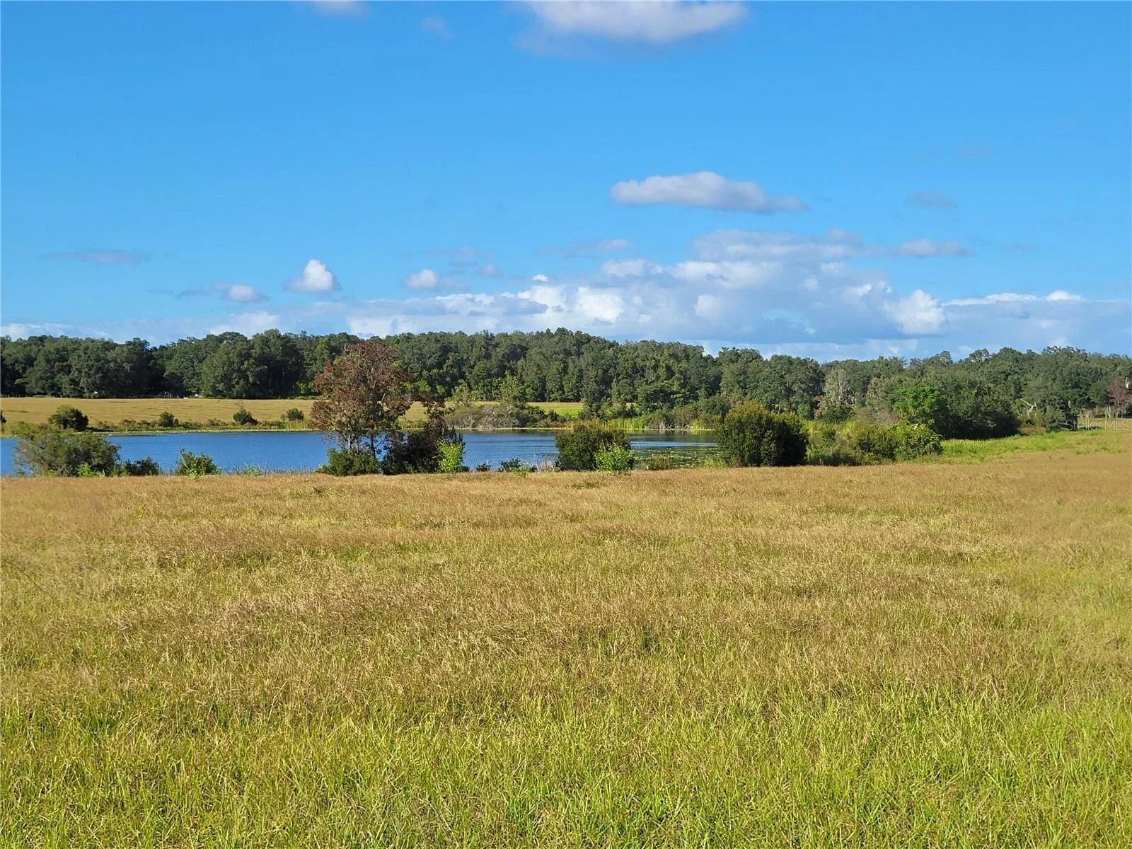 SE 74TH LANE RD #8-WEST, OCKLAWAHA, FL — photo 19