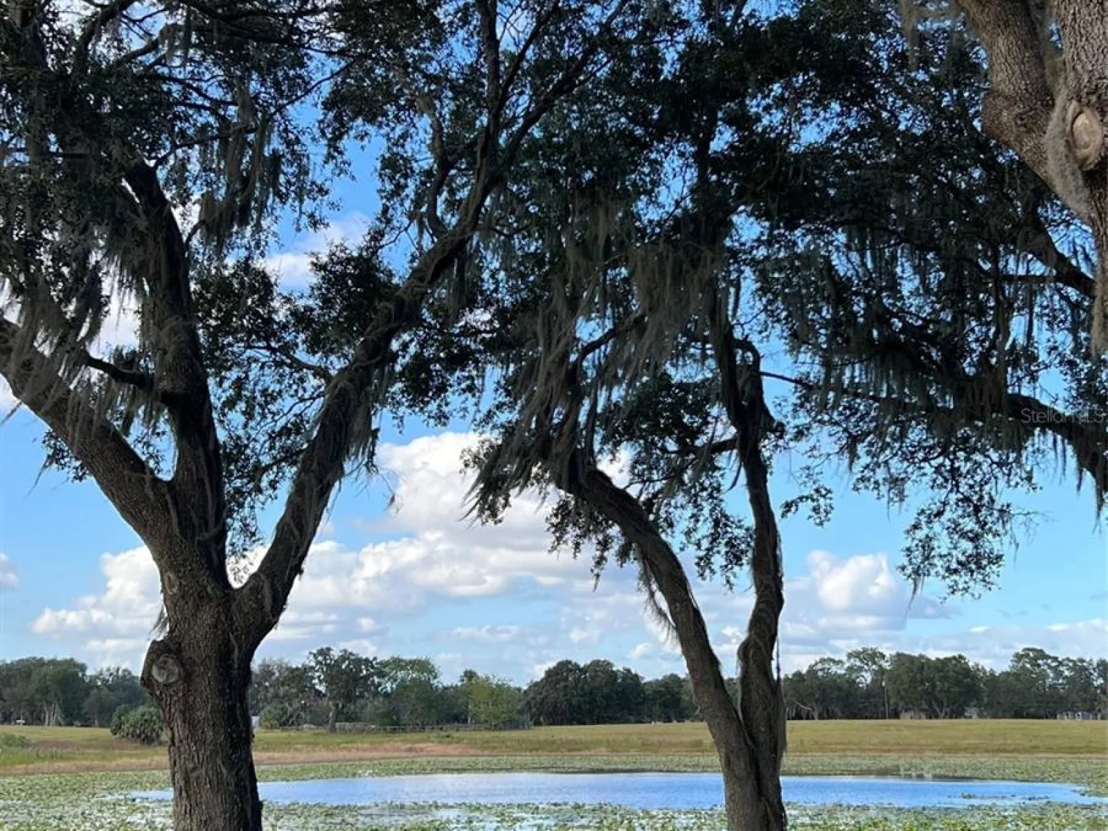SE 74TH LANE RD #8-WEST, OCKLAWAHA, FL — photo 29