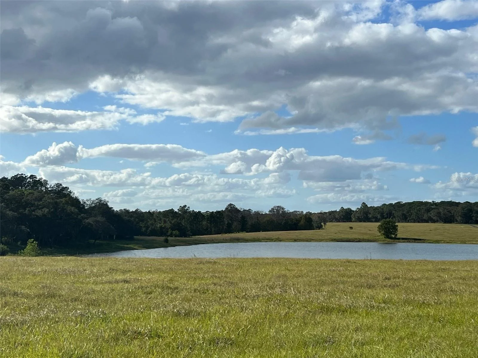 SE 74TH LANE RD #8-WEST, OCKLAWAHA, FL — photo 33