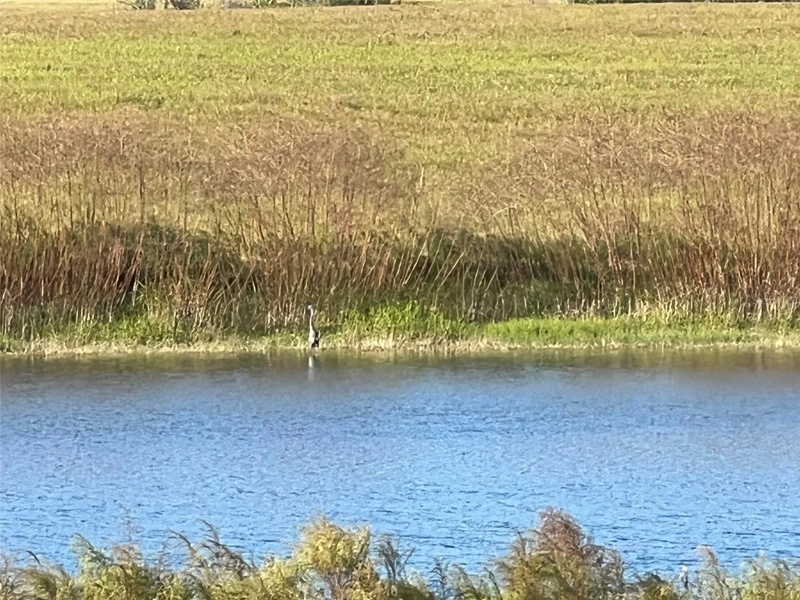 SE 74TH LANE RD #8-WEST, OCKLAWAHA, FL — photo 37