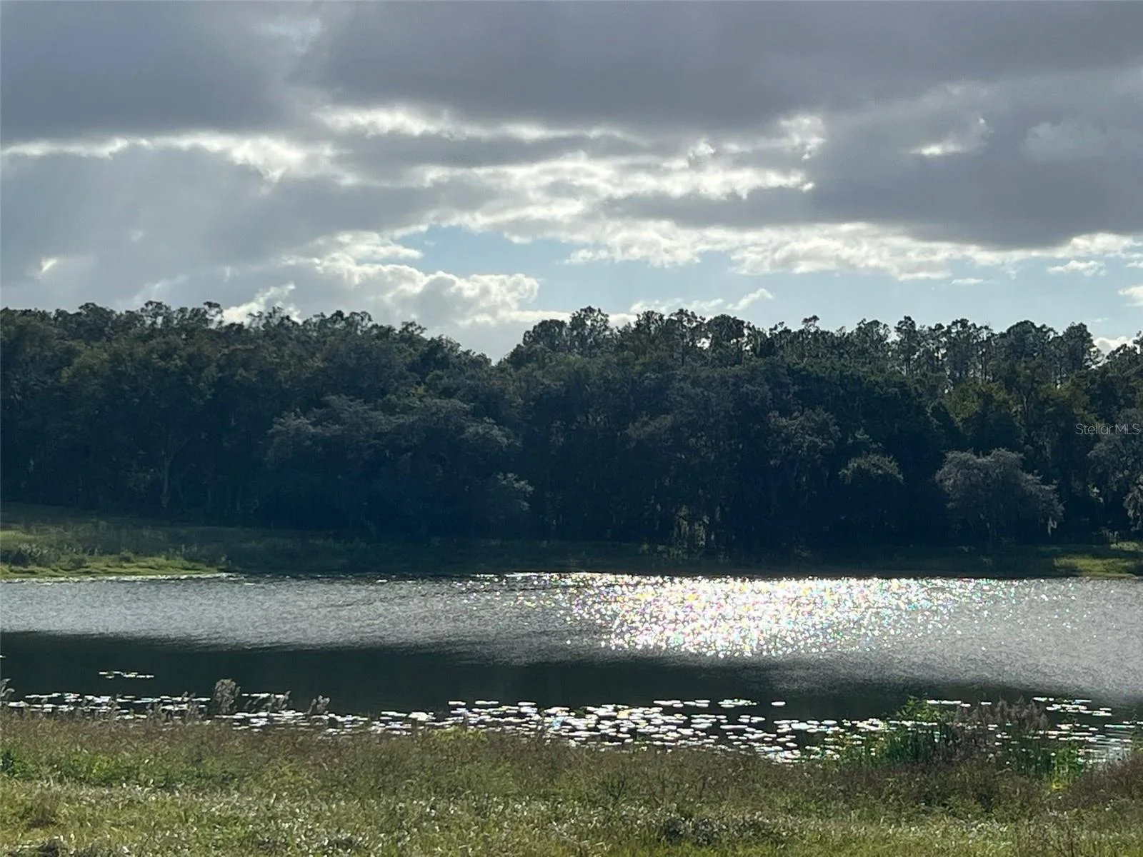 SE 74TH LANE RD #8-WEST, OCKLAWAHA, FL — photo 38