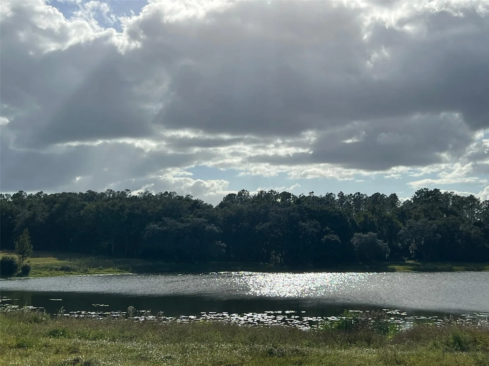 SE 74TH LANE RD #8-WEST, OCKLAWAHA, FL — photo 39