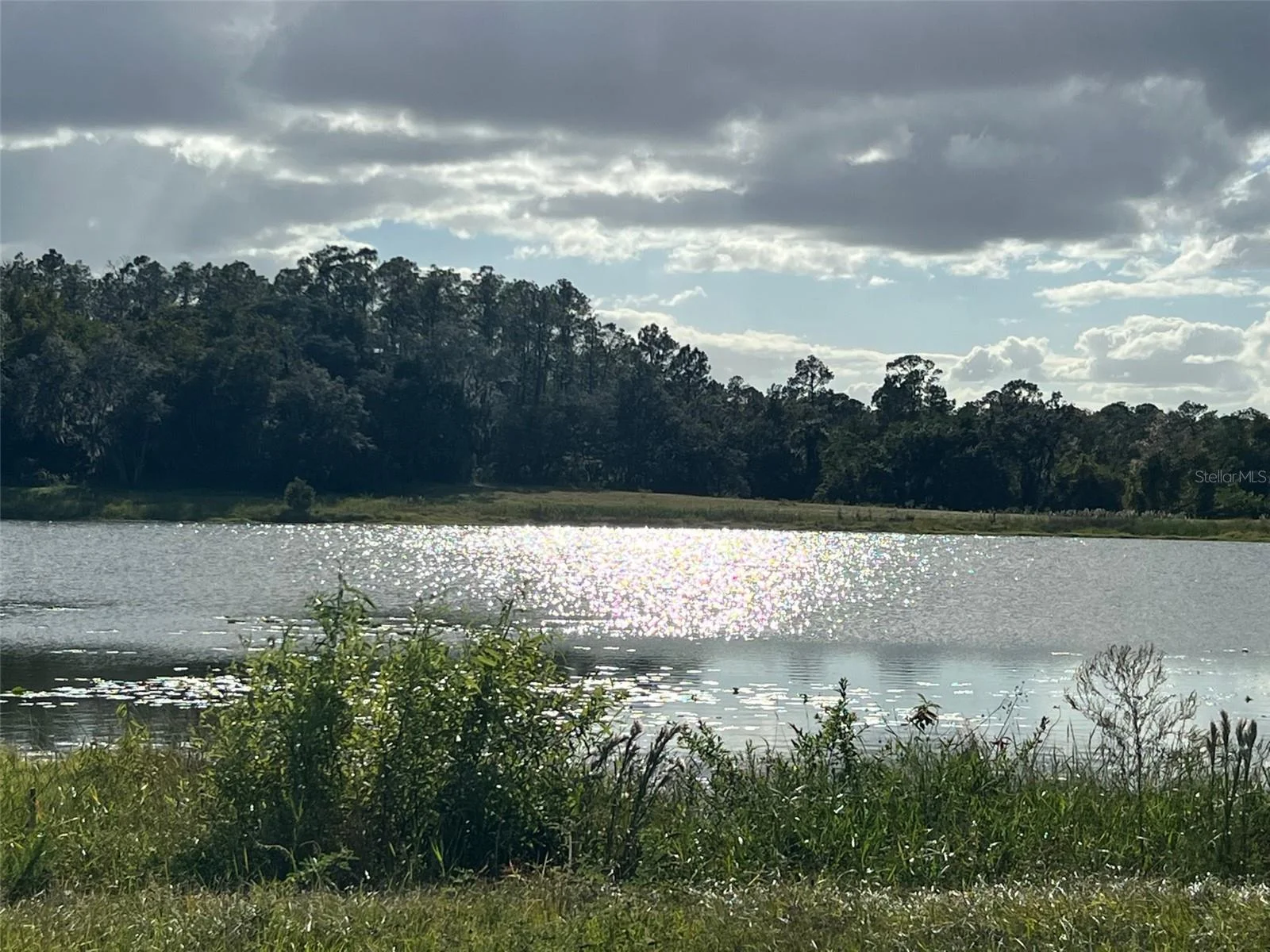 SE 74TH LANE RD #8-WEST, OCKLAWAHA, FL — photo 40