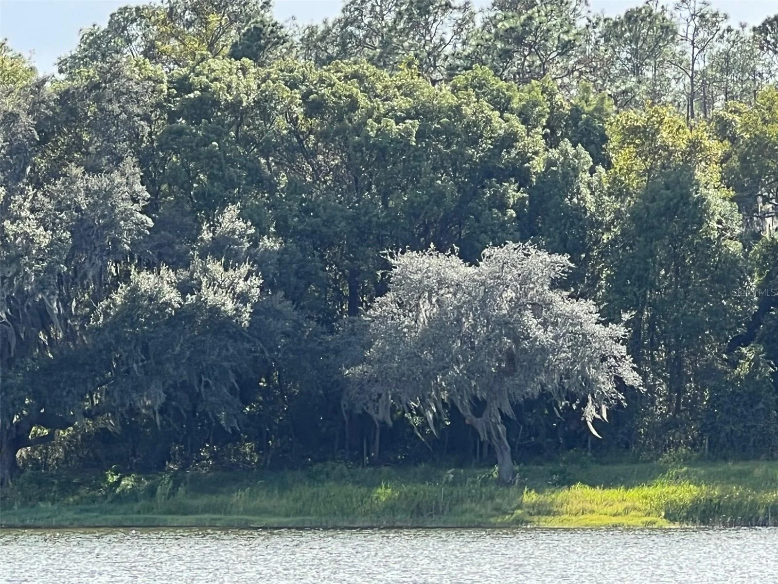 SE 74TH LANE RD #8-WEST, OCKLAWAHA, FL — photo 41