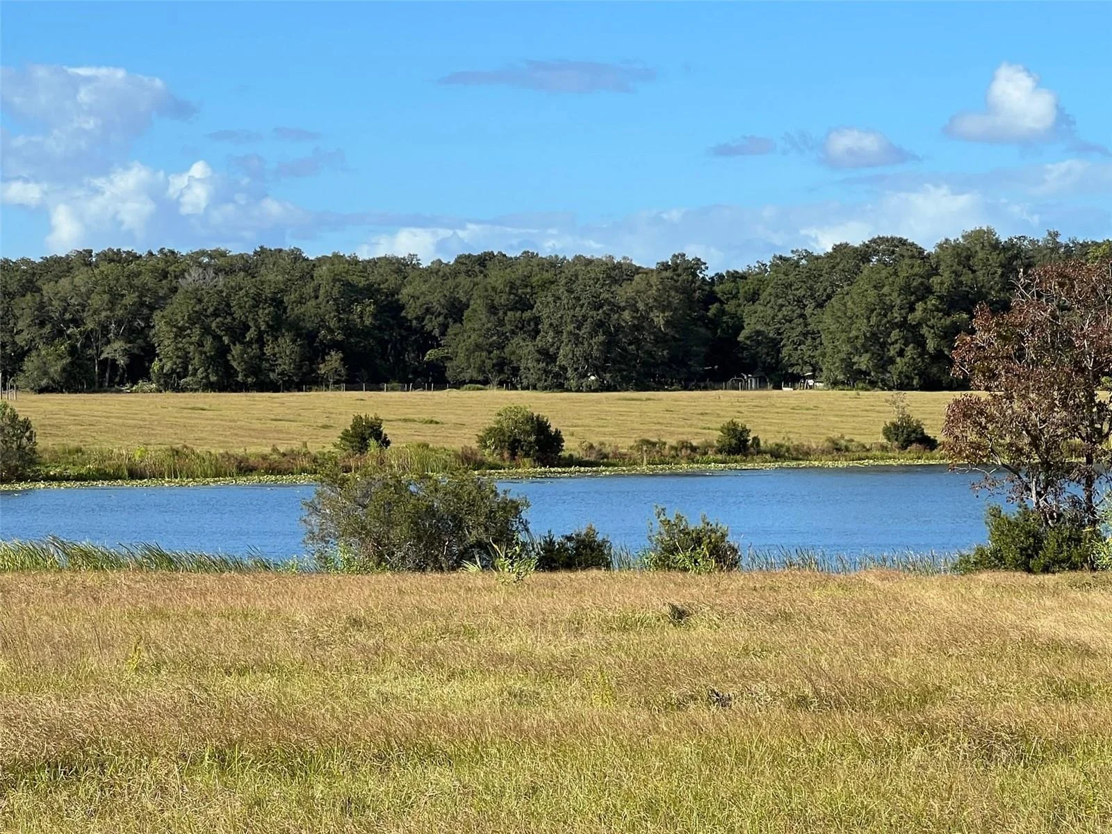 SE 74TH LANE RD #8-WEST, OCKLAWAHA, FL — photo 42