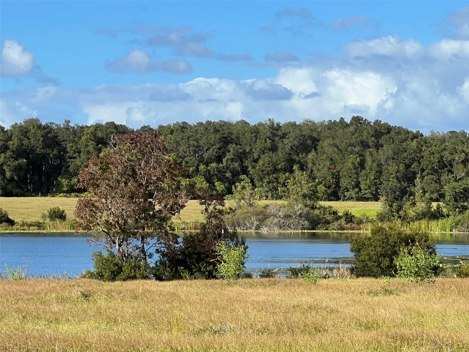 SE 74TH LANE RD #8-WEST, OCKLAWAHA, FL — photo 43