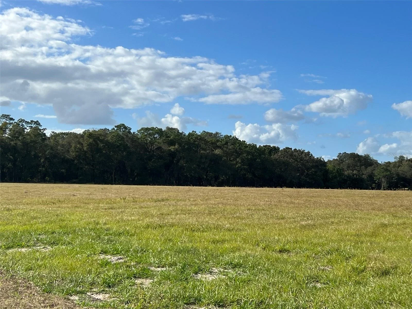 SE 74TH LANE RD #8-WEST, OCKLAWAHA, FL — photo 44