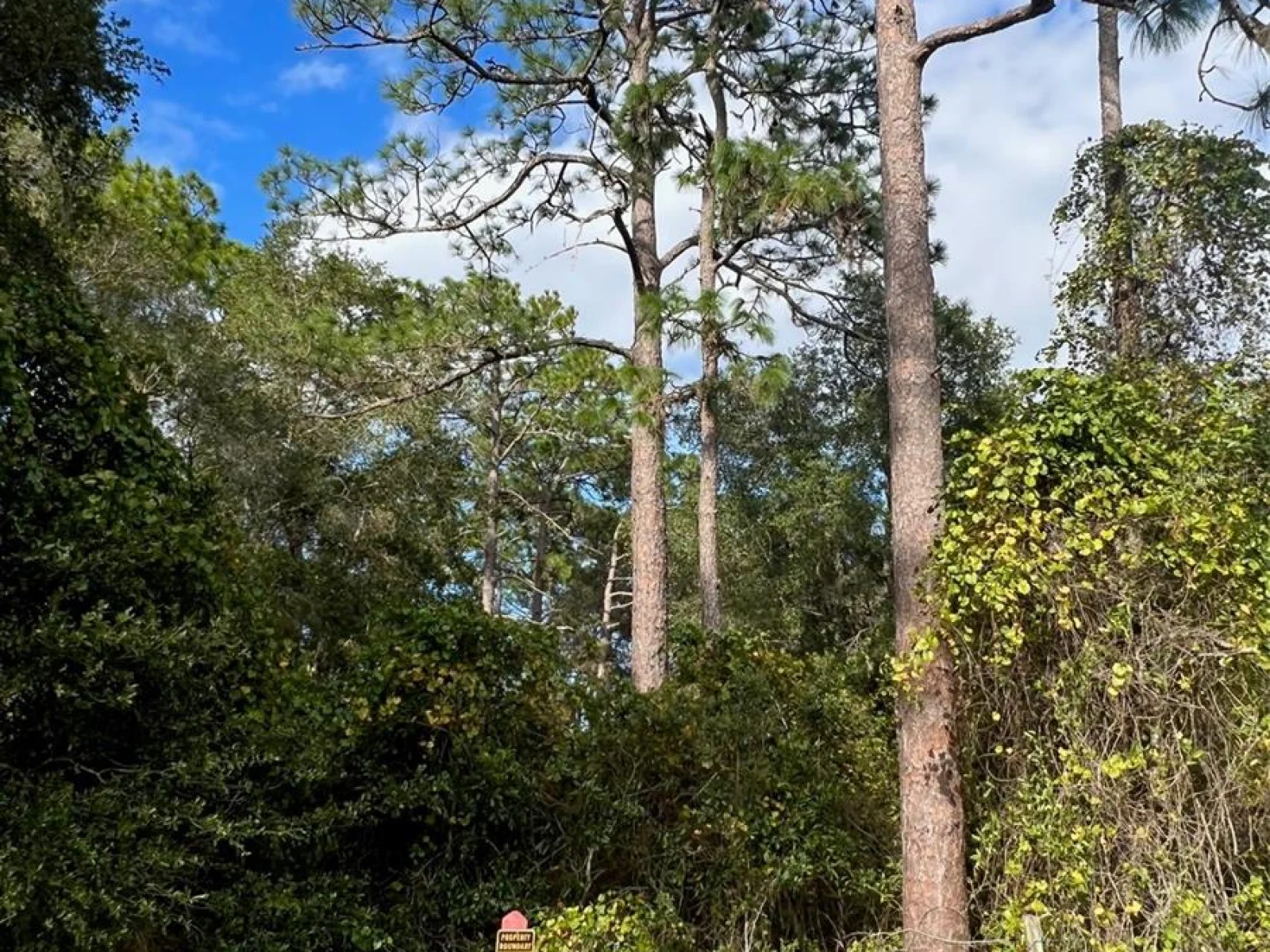 SE 74TH LANE RD #8-WEST, OCKLAWAHA, FL — photo 46