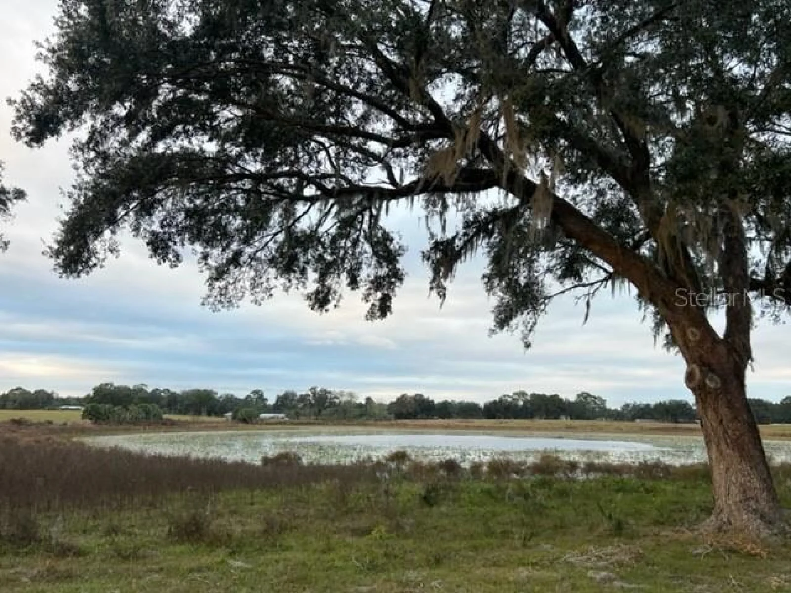 SE 74TH LANE RD #8-WEST, OCKLAWAHA, FL — photo 48