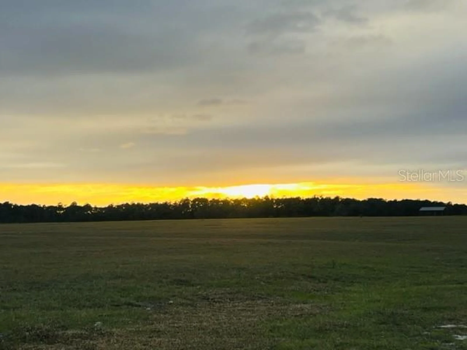 SE 74TH LANE RD #8-WEST, OCKLAWAHA, FL — photo 49