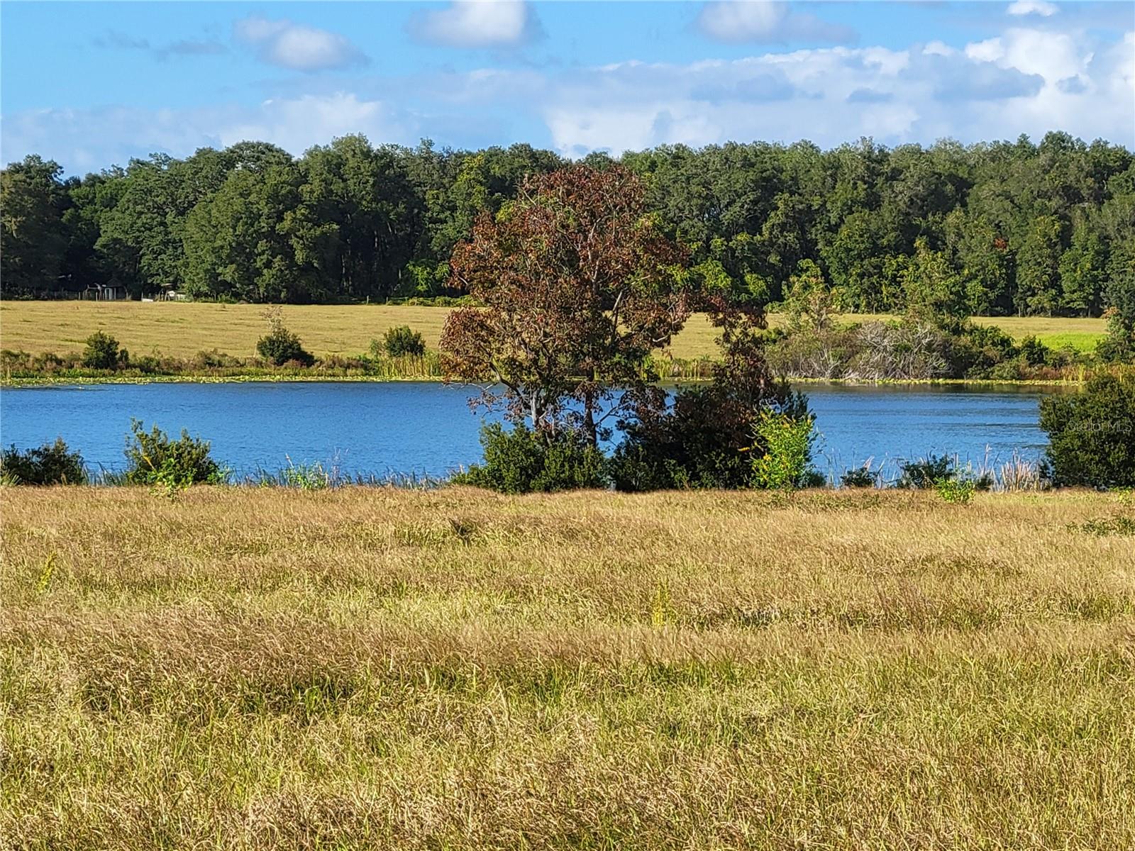SE 74TH LANE RD #6-EAST, OCKLAWAHA, FL — photo 31