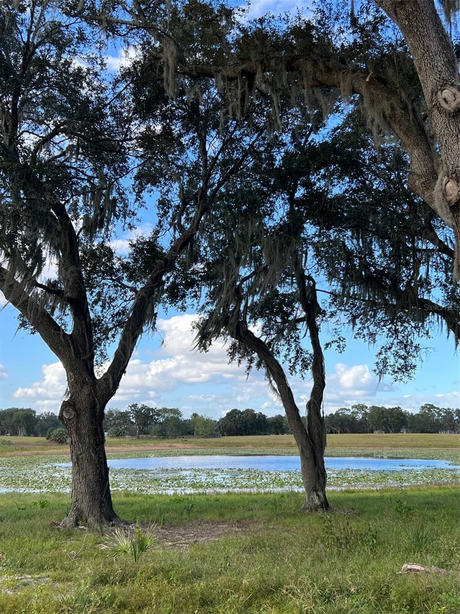 SE 74TH LANE RD #6-EAST, OCKLAWAHA, FL — photo 53
