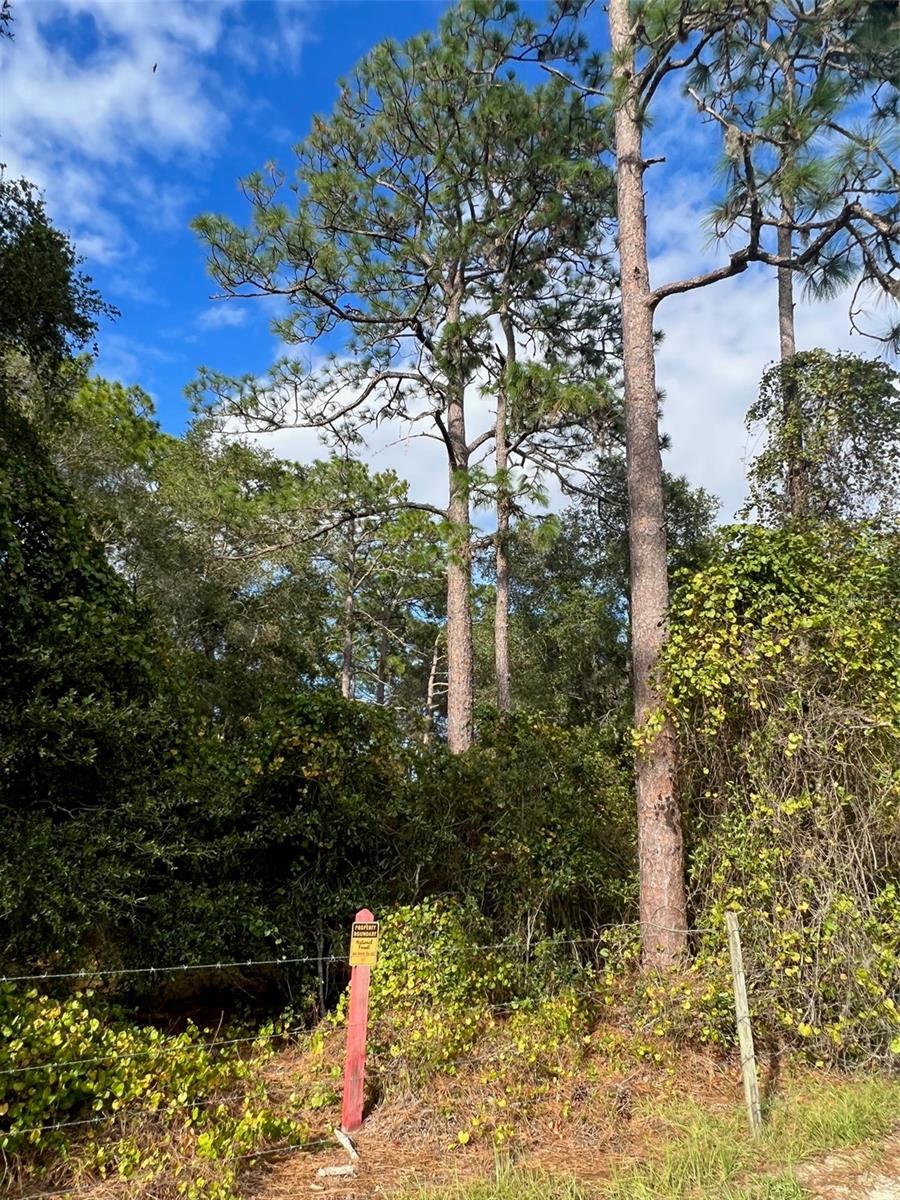 SE 74TH LANE RD #6-EAST, OCKLAWAHA, FL — photo 87