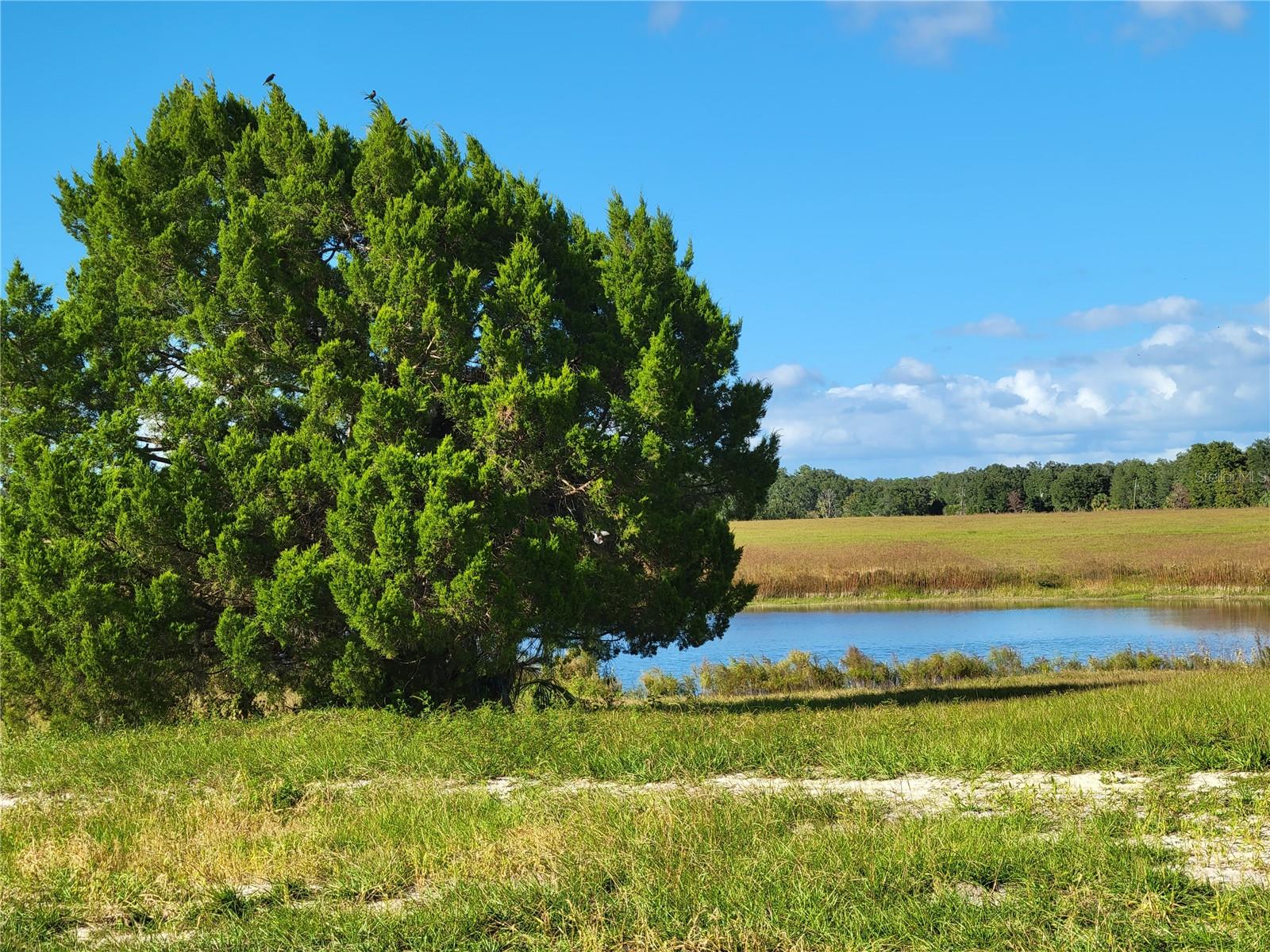 SE 74TH LANE RD #6-EAST, OCKLAWAHA, FL — photo 21