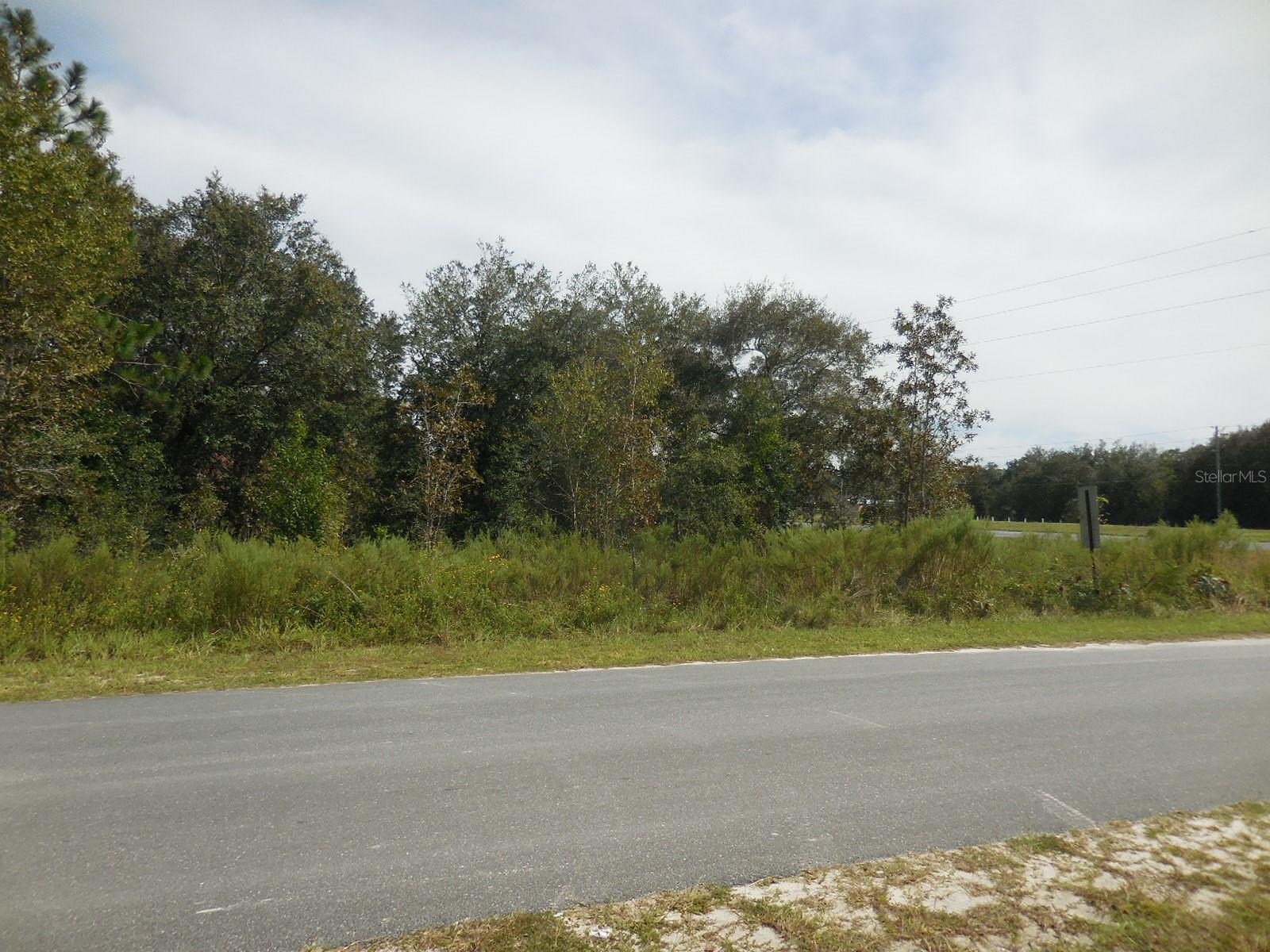 6291 NE 112TH TER, WILLISTON, FL — photo 3