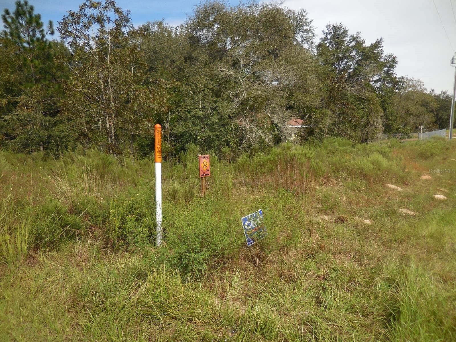 6291 NE 112TH TER, WILLISTON, FL — photo 5