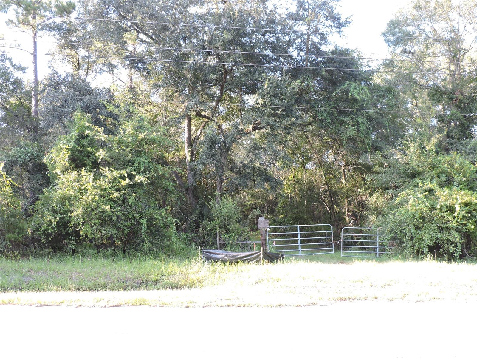 W COUNTY ROAD 2006 WEST W, BUNNELL, FL — photo 2