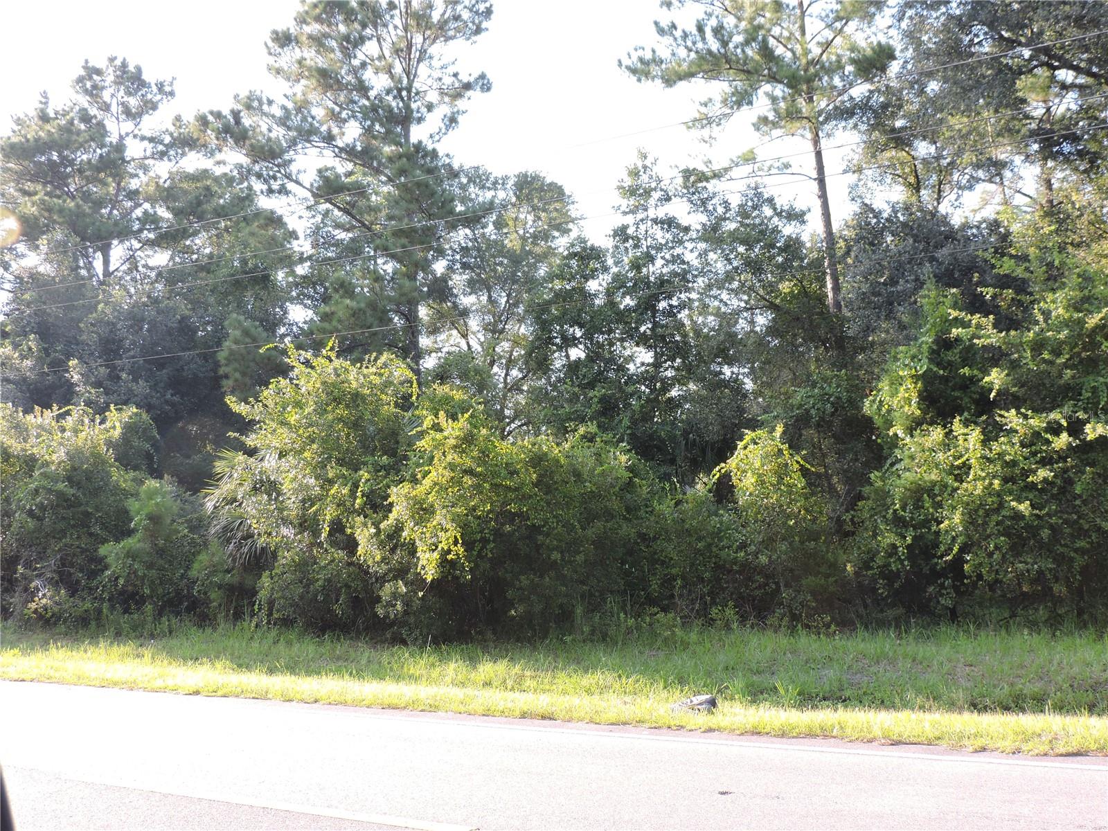 W COUNTY ROAD 2006 WEST W, BUNNELL, FL — photo 3