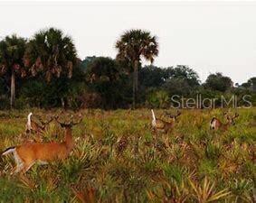 18325 NW 278TH ST, OKEECHOBEE, FL — photo 17