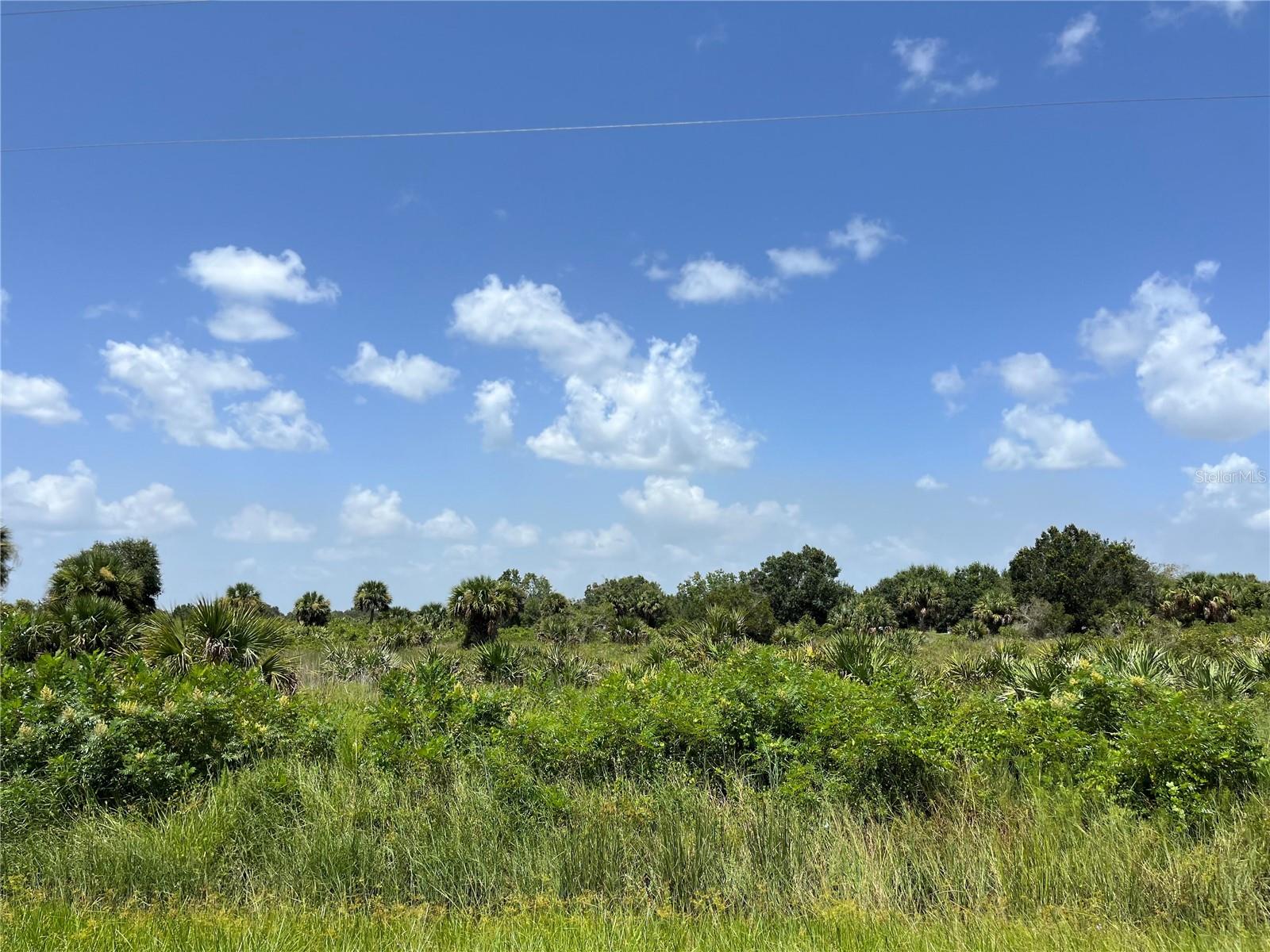 18325 NW 278TH ST, OKEECHOBEE, FL — photo 3
