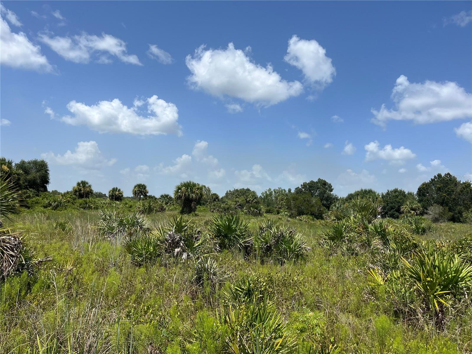 18325 NW 278TH ST, OKEECHOBEE, FL — photo 8