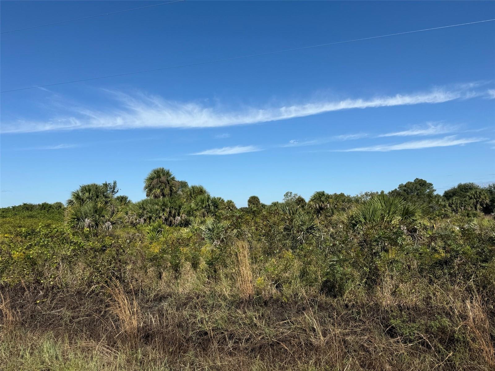 18325 NW 278TH ST, OKEECHOBEE, FL — photo 10