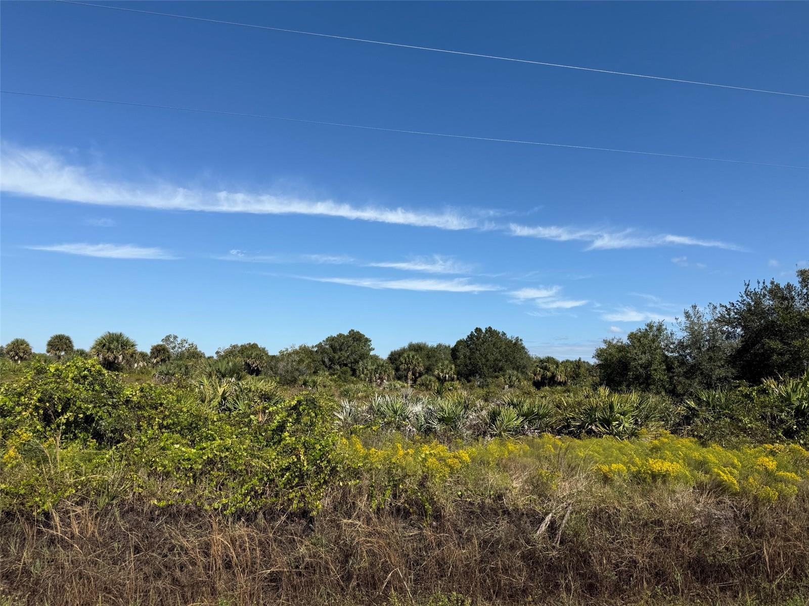 18325 NW 278TH ST, OKEECHOBEE, FL — photo 13