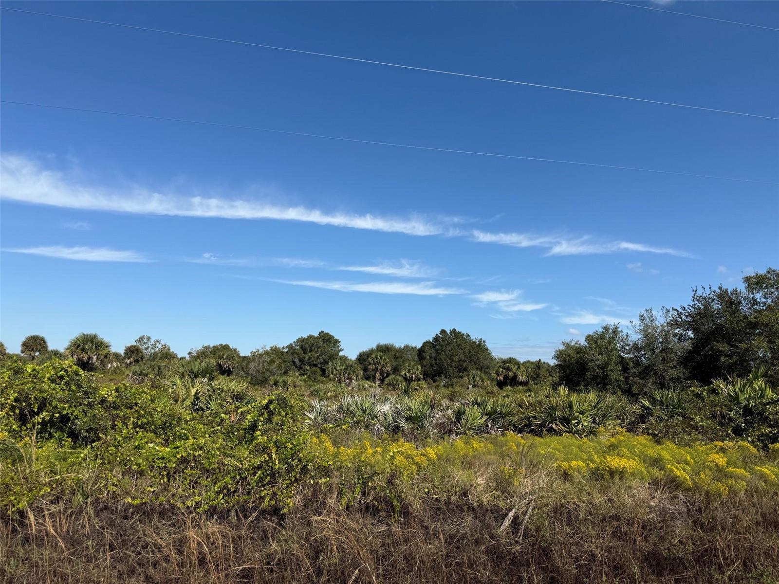 18325 NW 278TH ST, OKEECHOBEE, FL — photo 14