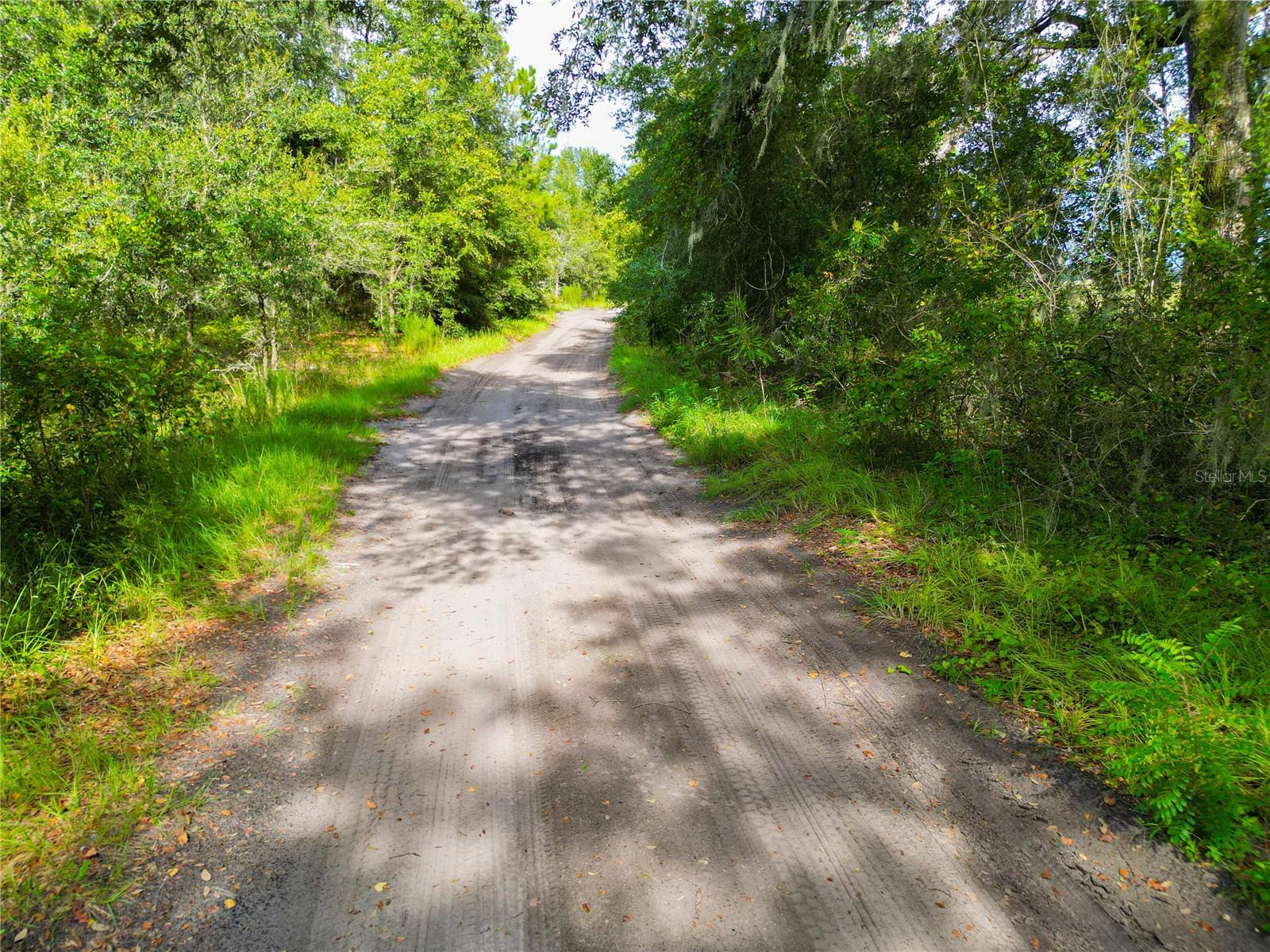 SE 29TH BLVD, SUMTERVILLE, FL — photo 6