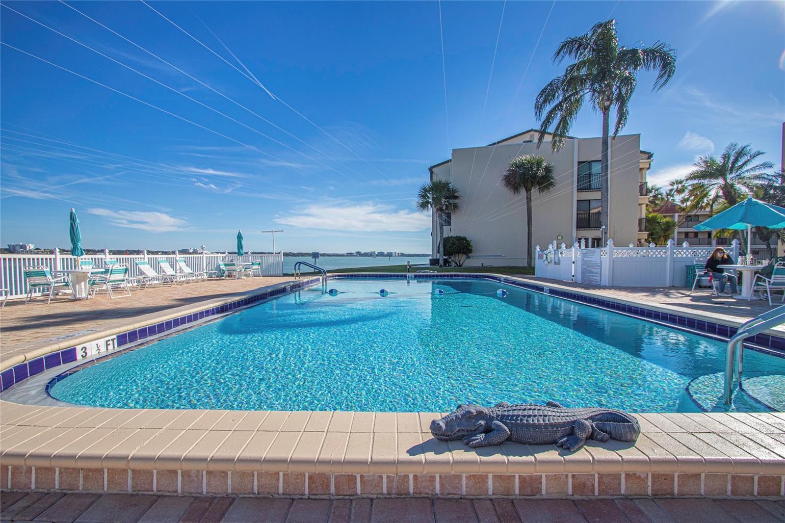895 S GULFVIEW BLVD #202, CLEARWATER, FL — photo 11