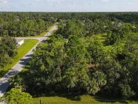 Lot # 19 RENTSCHER AVE — photo 9