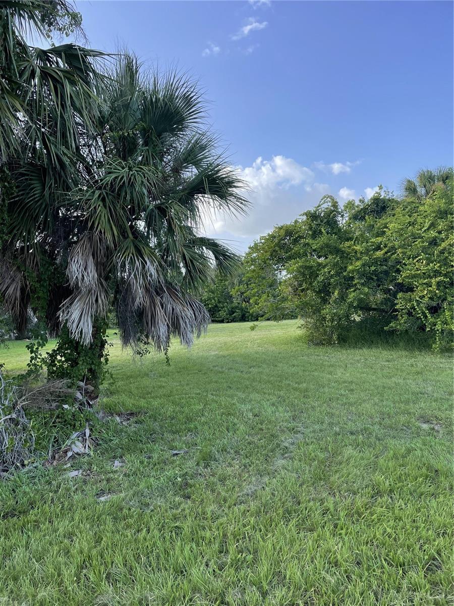 160 SPYGLASS ALY, PLACIDA, FL