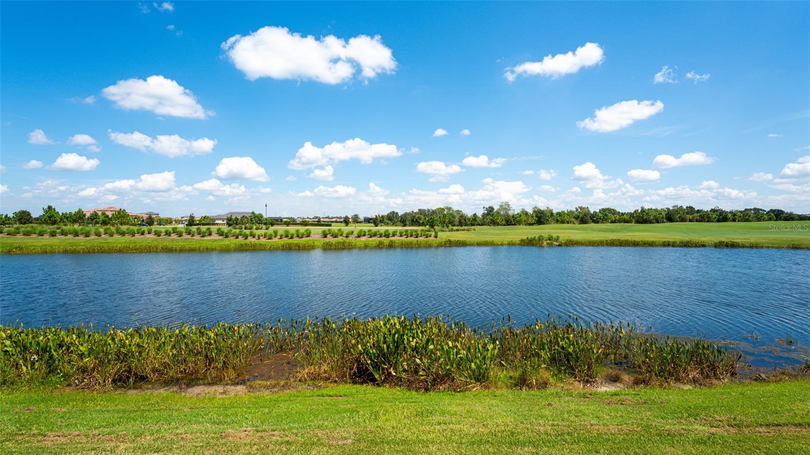 5907 BRANDON RUN, LAKEWOOD RANCH, FL — photo 38