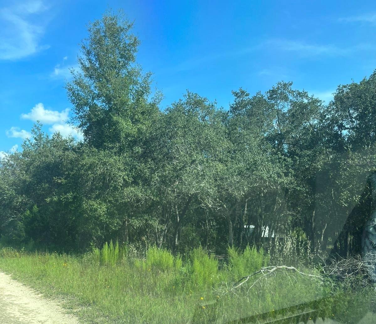 23-12-17 OAK RIDGE ESTATES BLK 8 LOT 27, WILLISTON, FL — photo 2