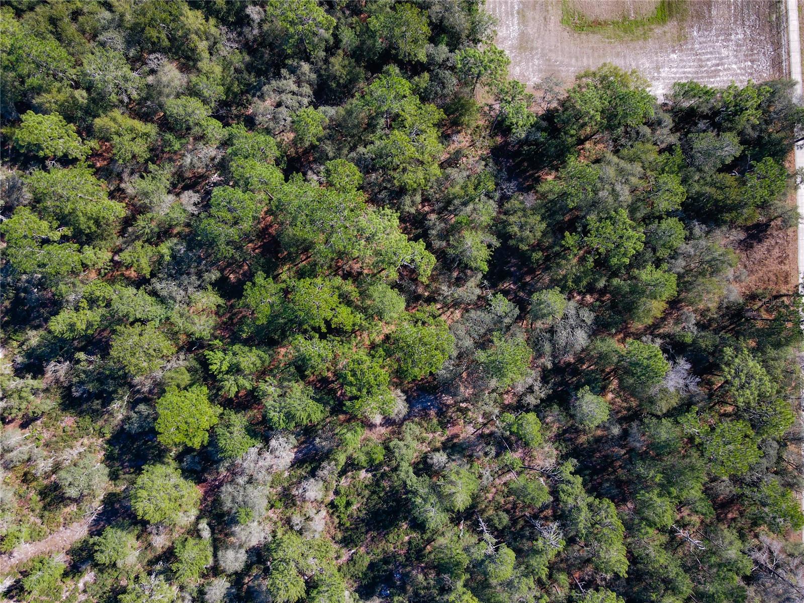 W RHODE ISLAND AVE, ORANGE CITY, FL — photo 18