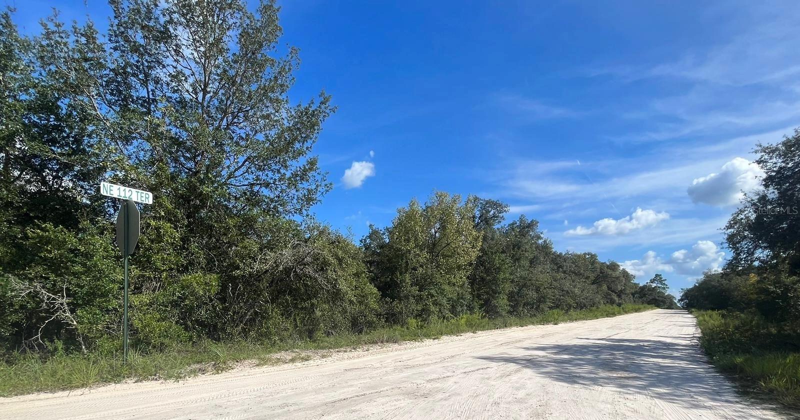 23-12-17 OAK RIDGE ESTATES BLK 27 LOT 1, WILLISTON, FL — photo 2