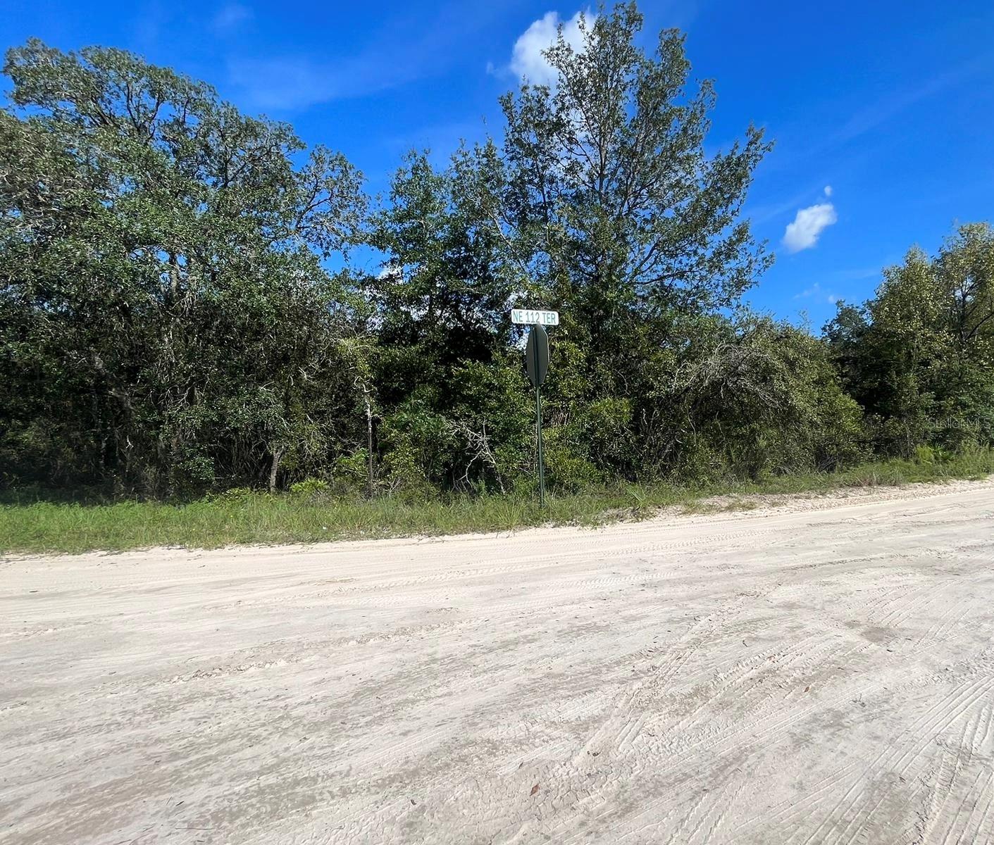 23-12-17 OAK RIDGE ESTATES BLK 27 LOT 1, WILLISTON, FL — photo 3