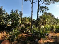 Lot 3 HAMBURG DR — photo 2