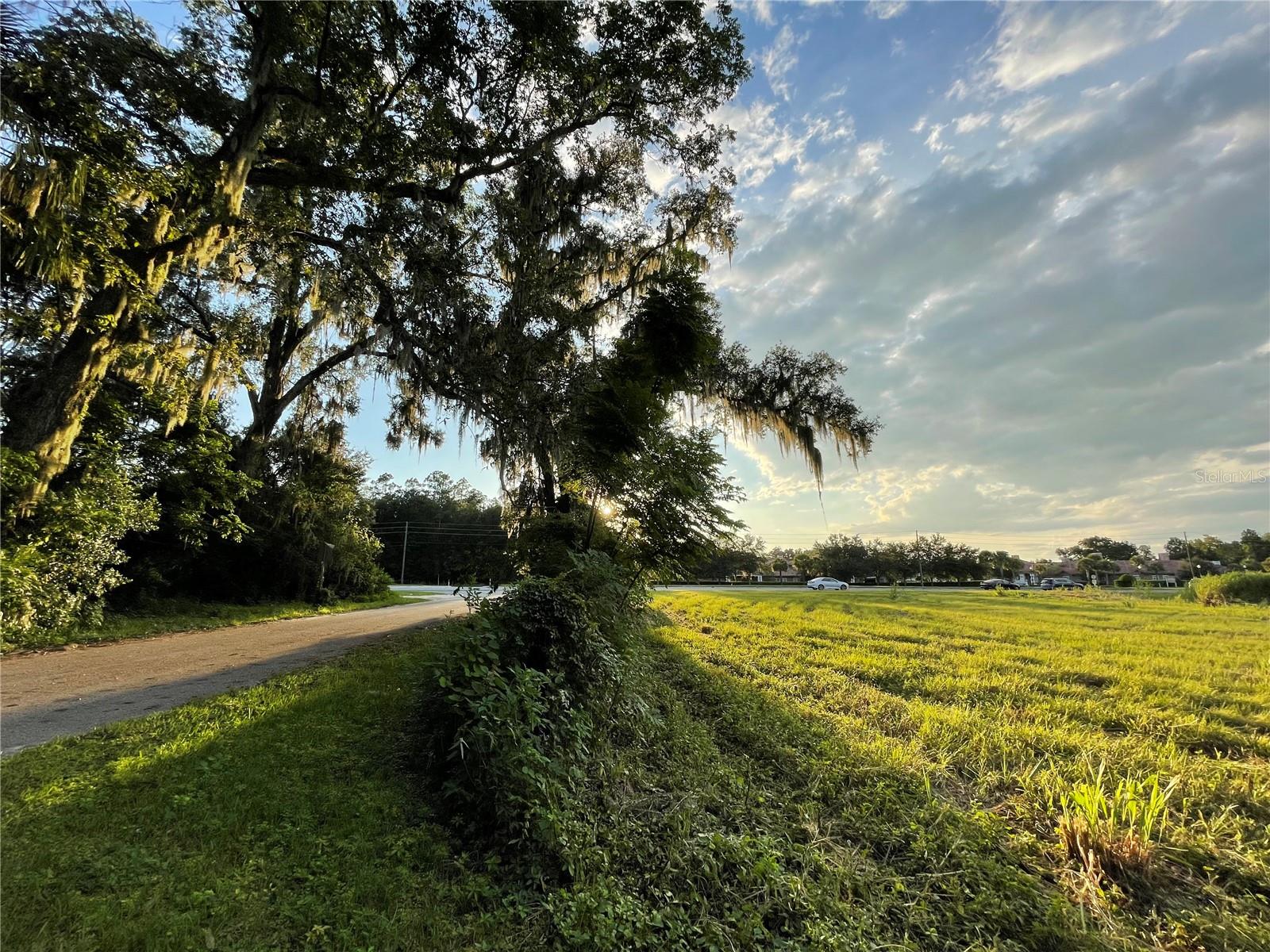000 US HWY 301 & CR 110, OXFORD, FL — photo 26