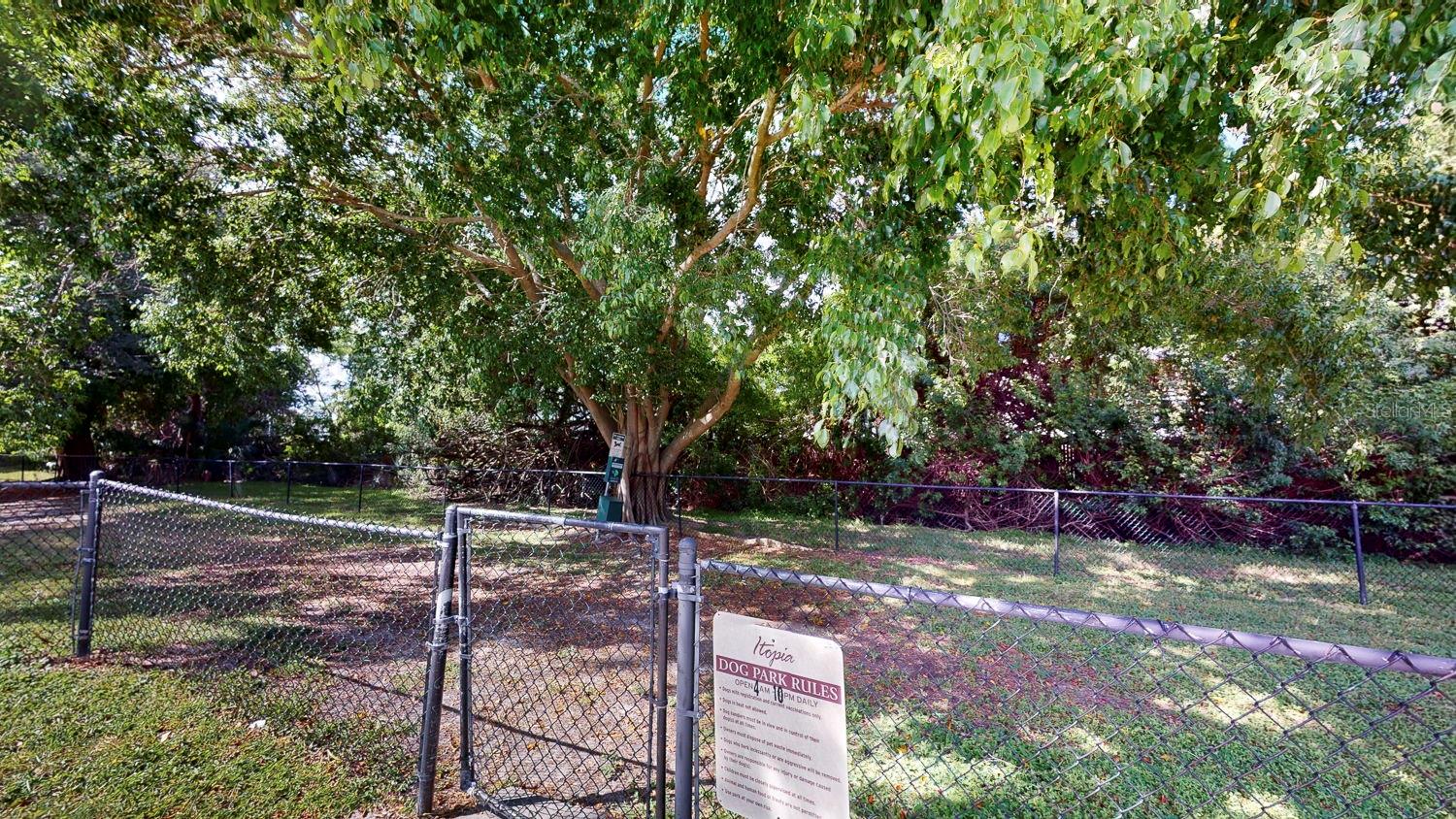 10265 GANDY BLVD N #1302, ST PETERSBURG, FL — photo 23