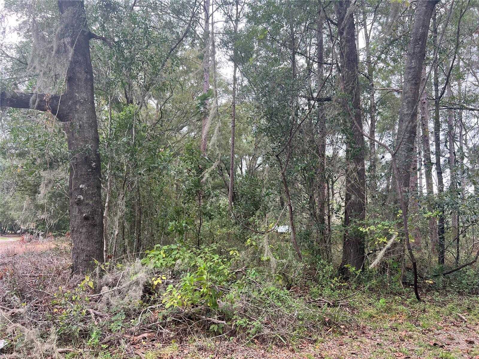 00 NW 187TH RD, HIGH SPRINGS, FL — photo 5