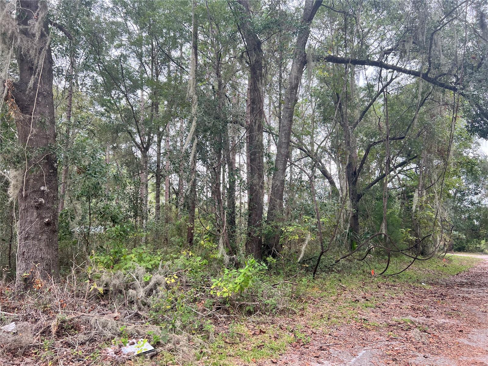 00 NW 187TH RD, HIGH SPRINGS, FL — photo 8
