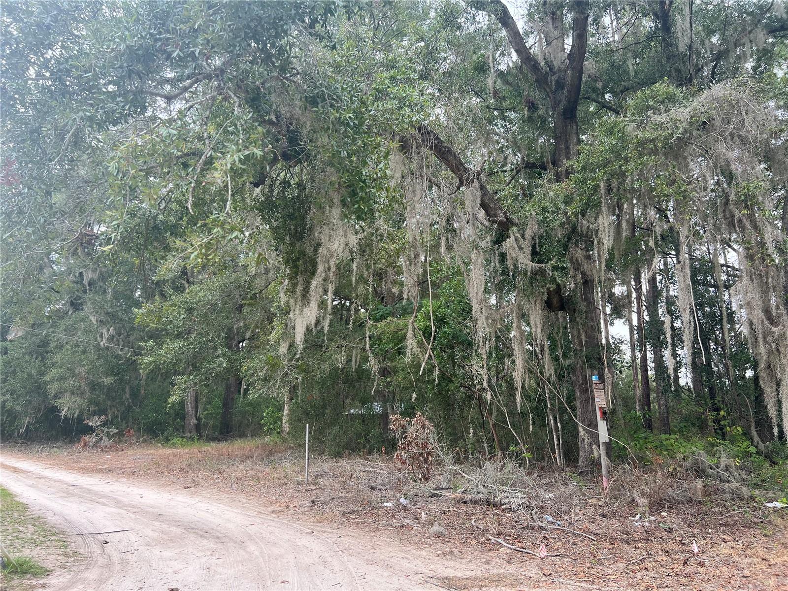 00 NW 187TH RD, HIGH SPRINGS, FL — photo 9