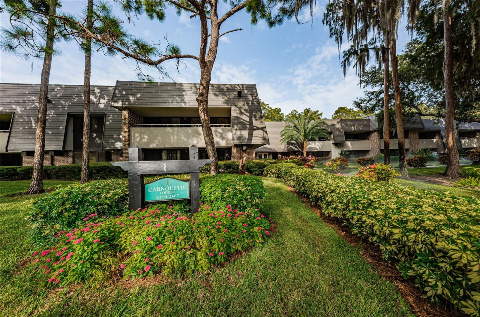 36750 US HIGHWAY 19 N #3-209, PALM HARBOR, FL