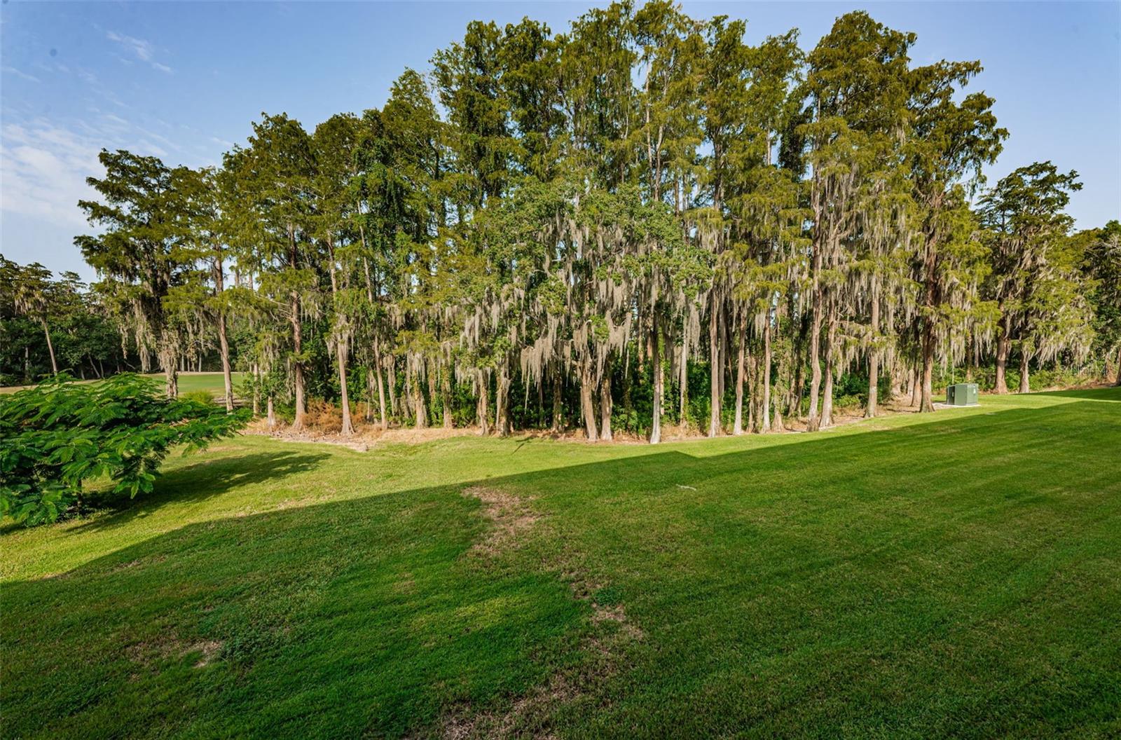 36750 US HIGHWAY 19 N #3-209, PALM HARBOR, FL — photo 4