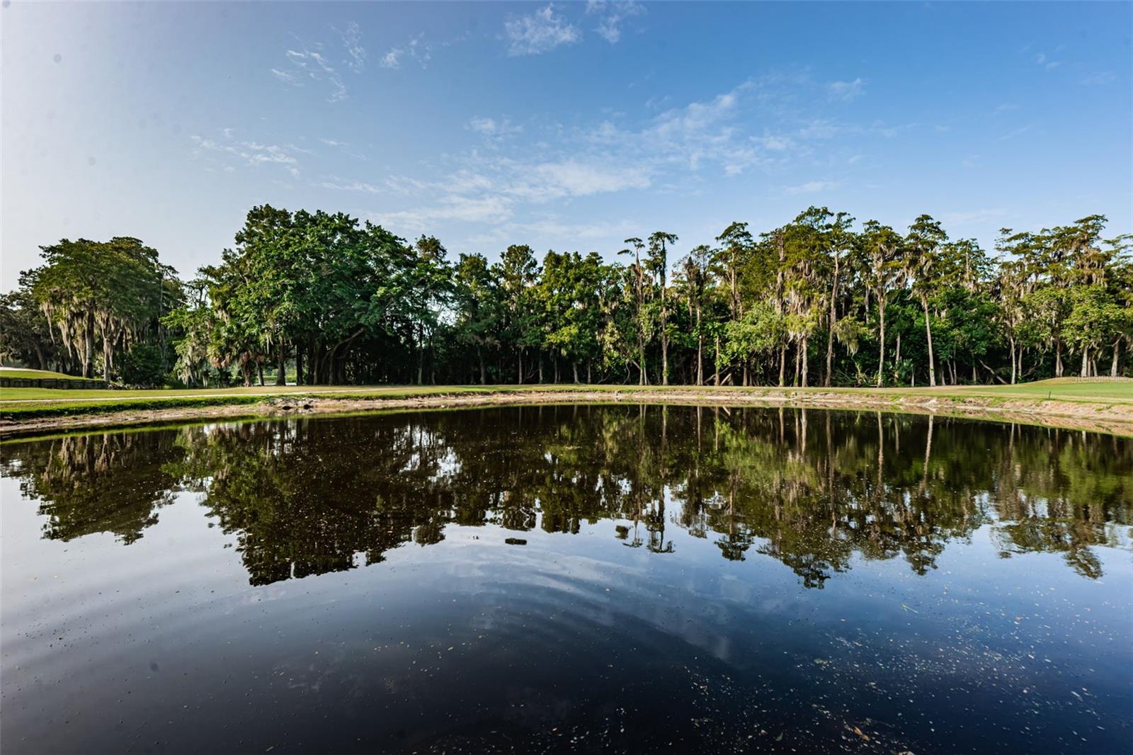 36750 US HIGHWAY 19 N #3-209, PALM HARBOR, FL — photo 24