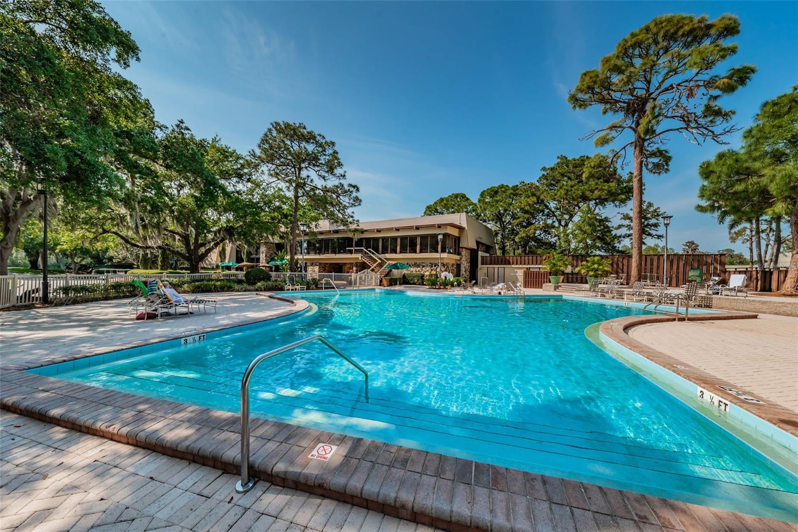 36750 US HIGHWAY 19 N #3-209, PALM HARBOR, FL — photo 28