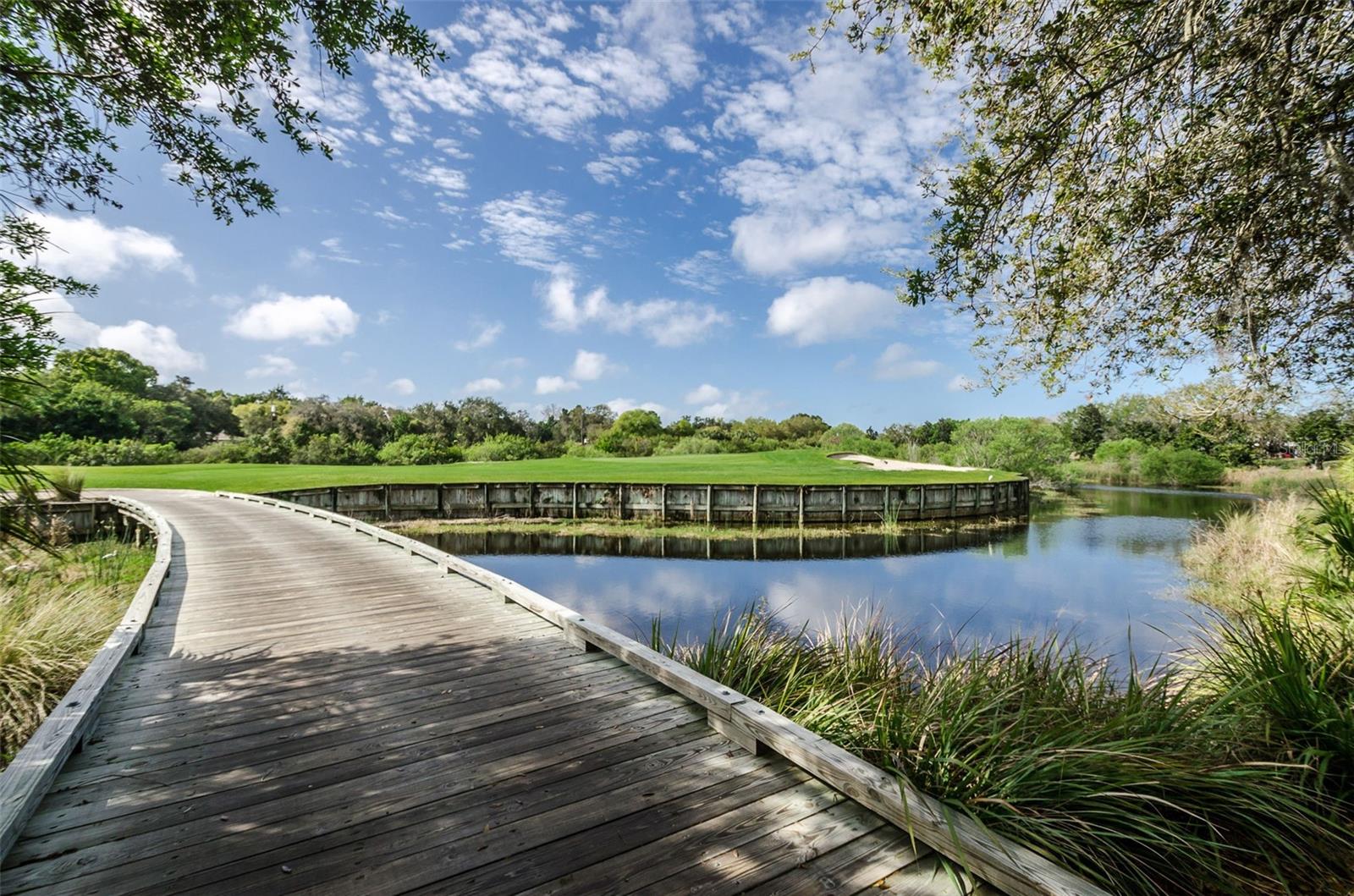 36750 US HIGHWAY 19 N #3-209, PALM HARBOR, FL — photo 44